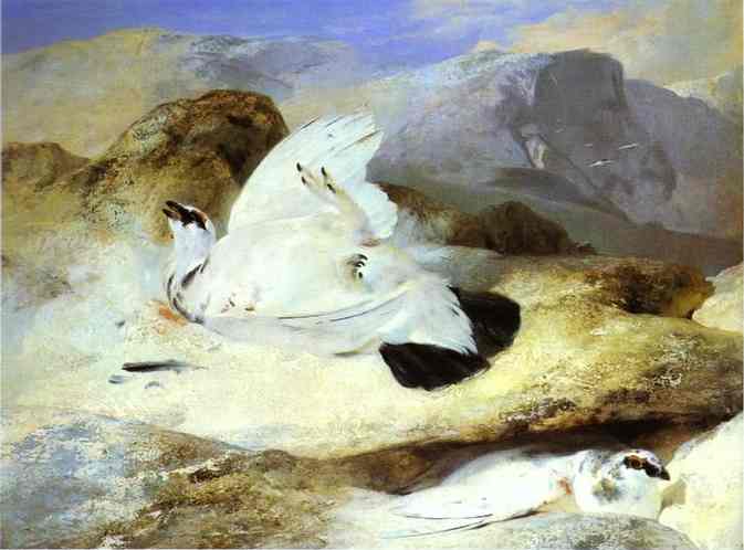 Ptarmigan, 1833 - Edwin Landseer