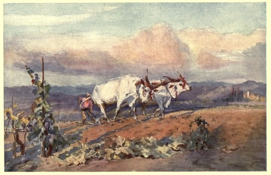 Ploughing in Tuscany - Elizabeth Thompson