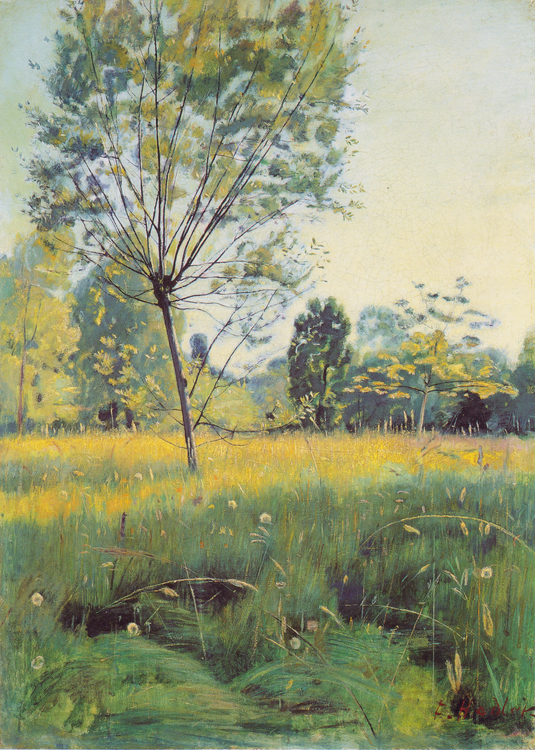 FERDINAND HODLER, FIGURE DE LA PEINTURE SUISSE The-golden-meadow-1890