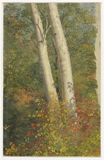 Birch Trees in Autumn - 弗雷德里克·埃德溫·丘奇