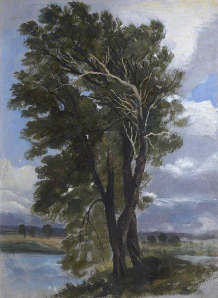 Trees in a Wind - George Harvey