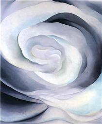 Abstraction White Rose - 歐姬芙
