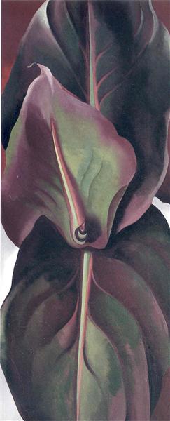 Canna Leaves, 1925 - Georgia O’Keeffe
