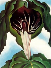 Jack-in-the-Pulpit III - Джорджия О’Киф