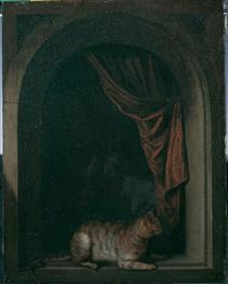 A Cat in the Window of a Painter's Studio - Gerard Dou