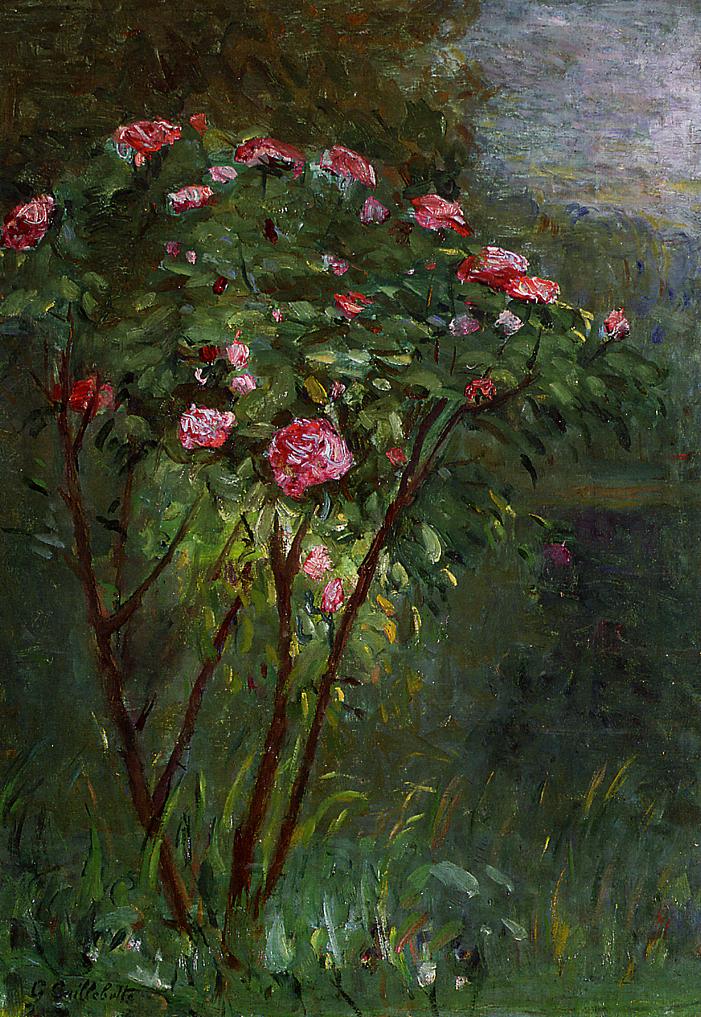 Rose Bush In Flower 1884 Gustave Caillebotte WikiArt Org   Rose Bush In Flower 