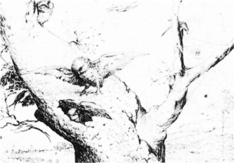 Гнездо сов, c.1505 - c.1516 - Иероним Босх