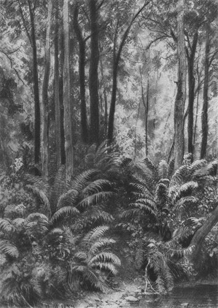Ferns in the forest, 1877 - Ivan Chichkine