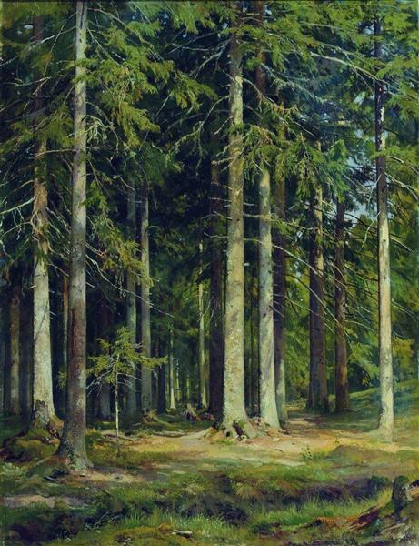 Fir forest, 1891 - Ivan Chichkine