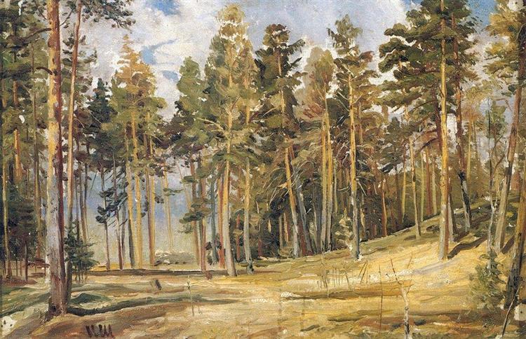 Pines. Sunny Day - Iwan Iwanowitsch Schischkin