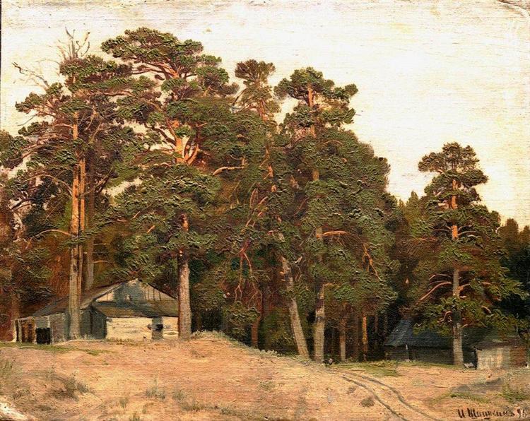Sandy road, 1898 - Іван Шишкін