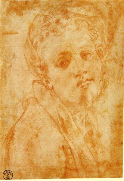 Self Portrait, c.1527 - Jacopo da Pontormo