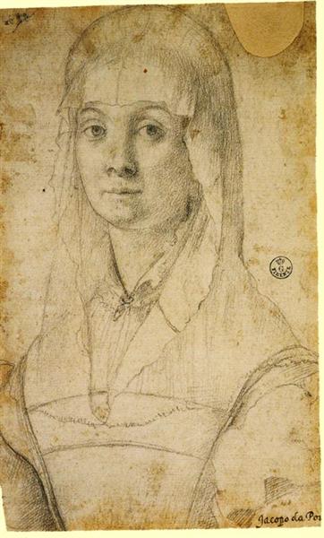 Етюд жінки, можливо, Марії Сальвіаті, c.1543 - Джакопо Понтормо