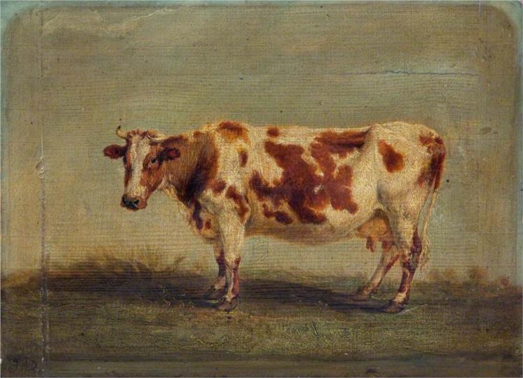 Roan Shorthorn Cow - James Ward