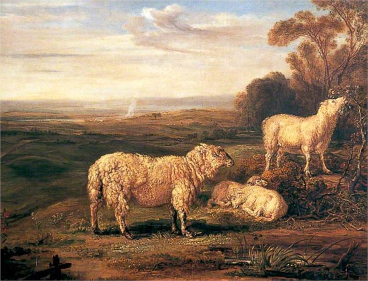 Sheep on the Downs - James Ward