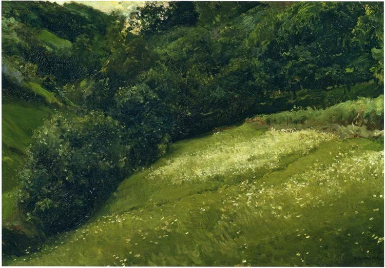 Field in Asturias, 1903 - Хоакін Соролья