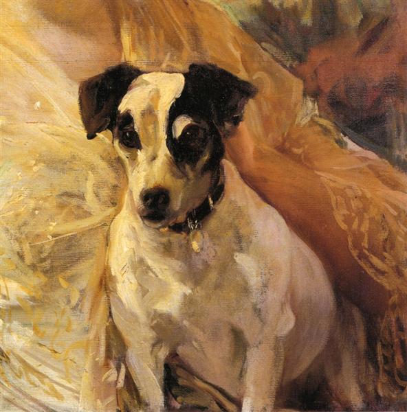Portrait of a Jack Russell, 1909 - Joaquin Sorolla