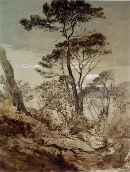 Stone Pines at Sestri, 1845 - John Ruskin