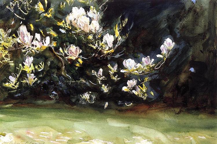 Magnolias, 1912 - Джон Сингер Сарджент