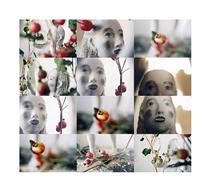 Eve in the pomegranates - Кікі Сміт