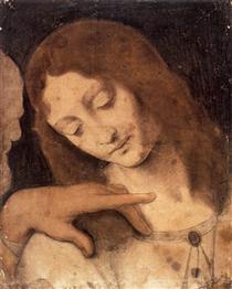 Head of St. John the Evangelist - Леонардо да Вінчі