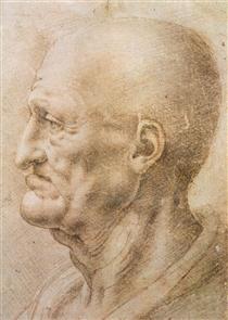Profile of an old man - Léonard de Vinci