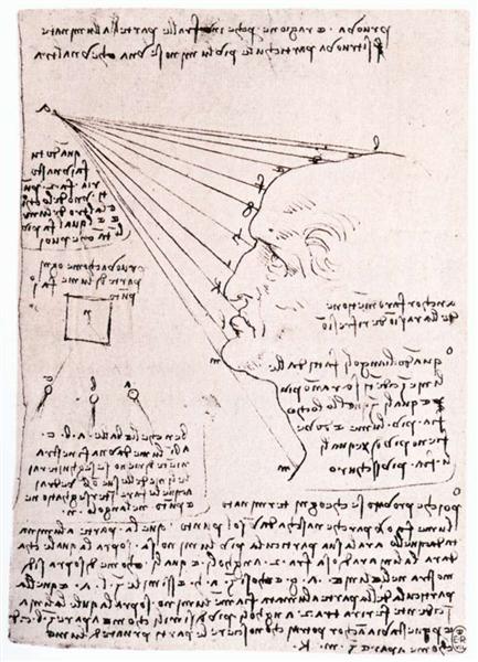 Study of the effect of light on a profile head (facsimile), c.1488 - Léonard de Vinci
