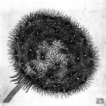 Blowball I - Maurits Cornelis Escher