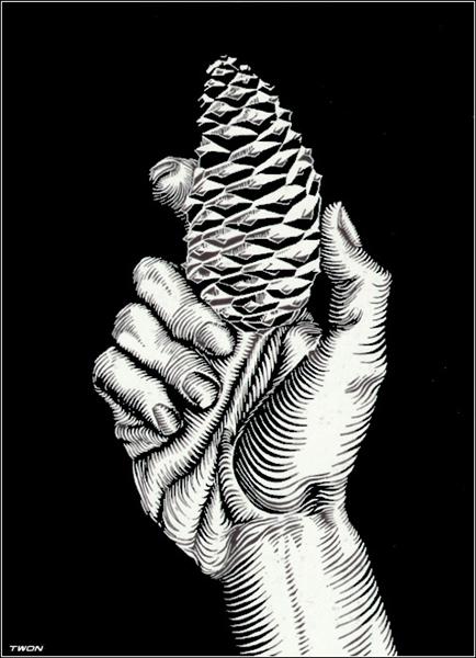 Hand with Fir Cone, 1921 - Мауріц Корнеліс Ешер