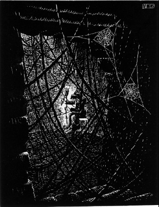 Cobwebs, 1931 - M.C. Escher