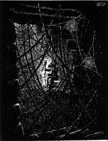Cobwebs - M. C. Escher
