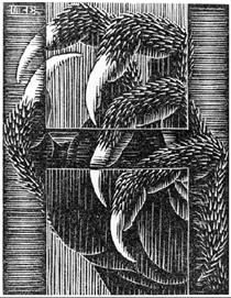 Untitled - Maurits Cornelis Escher