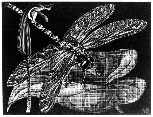 Libellula. Dragonfly (March 1936), 1936 - Мауріц Корнеліс Ешер
