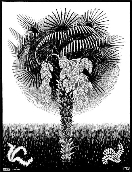 Пальма, 1923 - Мауріц Корнеліс Ешер