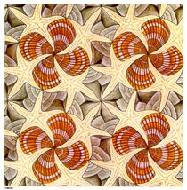 Shells and Starfish - M.C. Escher