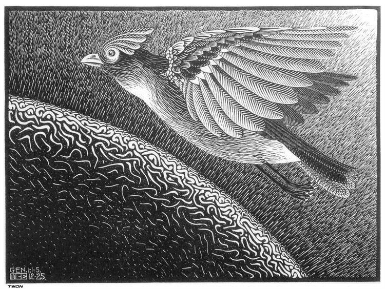 The 1st Day of the Creation, 1925 - Maurits Cornelis Escher