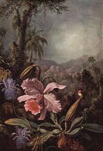 Orchid, Passion Flowers and Hummingbird - Мартин Джонсон Хед