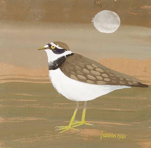 Ringed plover, 1981 - Mary Fedden