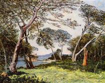 The Pines of the Ile St. Morah - Maxime Maufra