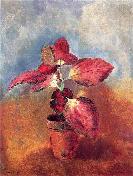 Begonia in a Pot, c.1910 - Оділон Редон