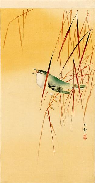 Songbird in Reeds - 小原古邨