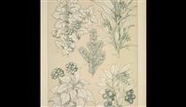 Leaves and Flowers from Nature Ornament no. 7. Hawthorne, Yew, Ivy and Strawberry-tree - Owen Jones