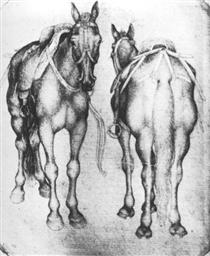 Horses - Antonio Pisanello