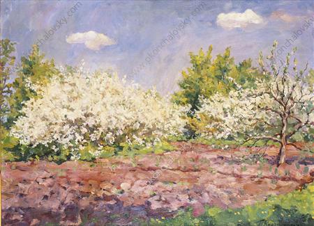 Cherry blossoms, 1953 - Петро Кончаловський