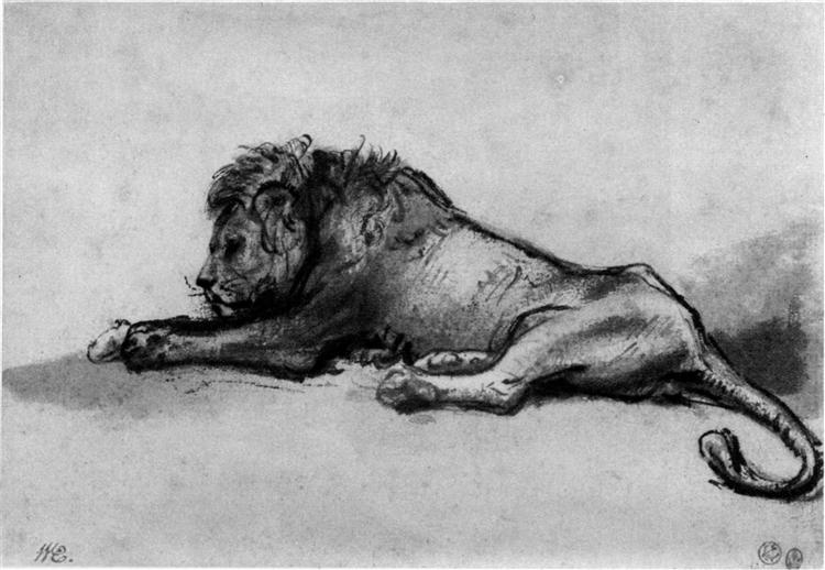 Лев відпочиває, c.1650 - 1652 - Рембрандт