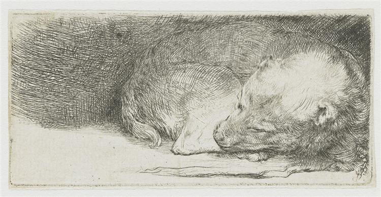 Спляче щеня, 1640 - Рембрандт