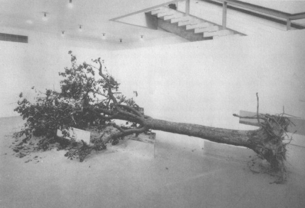Dead Tree, 1969 - Robert Smithson