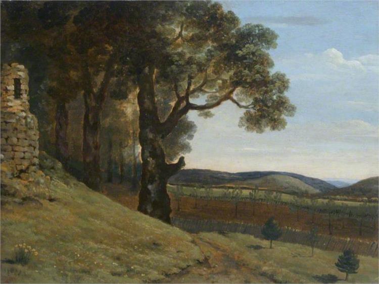 Field near Pencerrig, 1776 - Thomas Jones