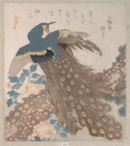 Peacock on the Pine Tree - 魚屋北溪