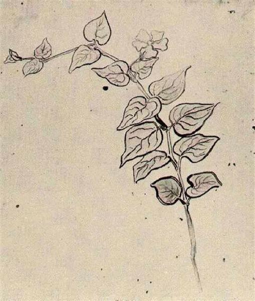 Branch with Leaves, 1890 - Винсент Ван Гог